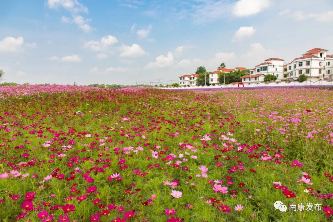 子账户_多组件B