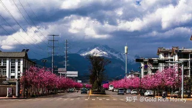 验证流程触发打标签